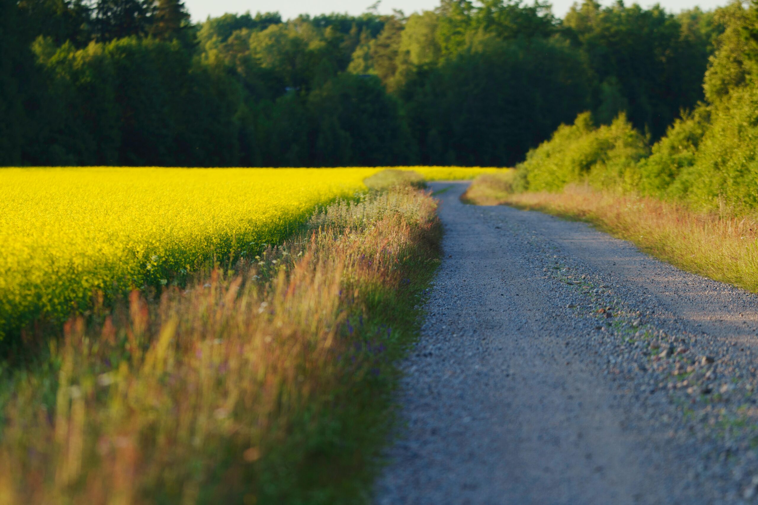 Home municipalities and rural infrastructure
